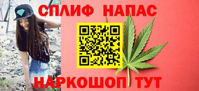 тгк Кингисепп