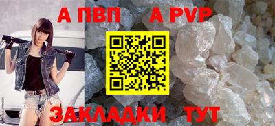 тгк Кингисепп