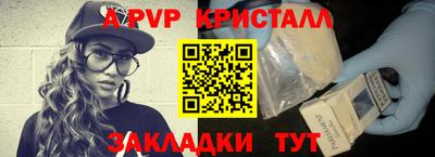 тгк Кингисепп