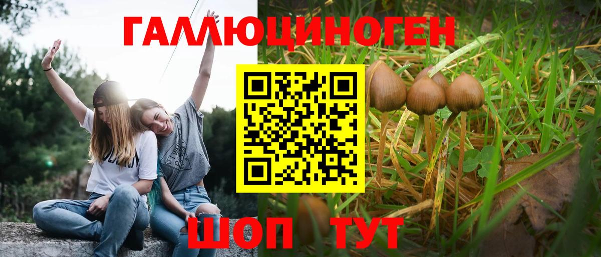 Кингисепп  Псилоцибиновые грибы мухоморы  Вход с VPN 